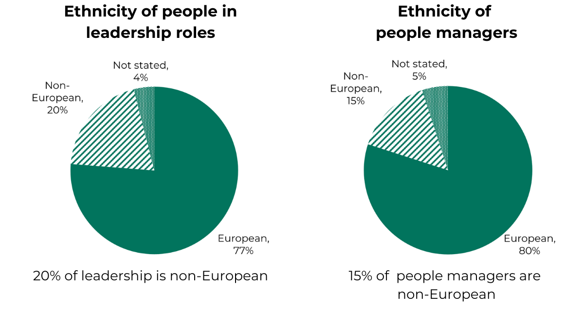 pie charts showing 1 in 5 people in leadership positions are non-European. 15% of people managers are non-European.. 